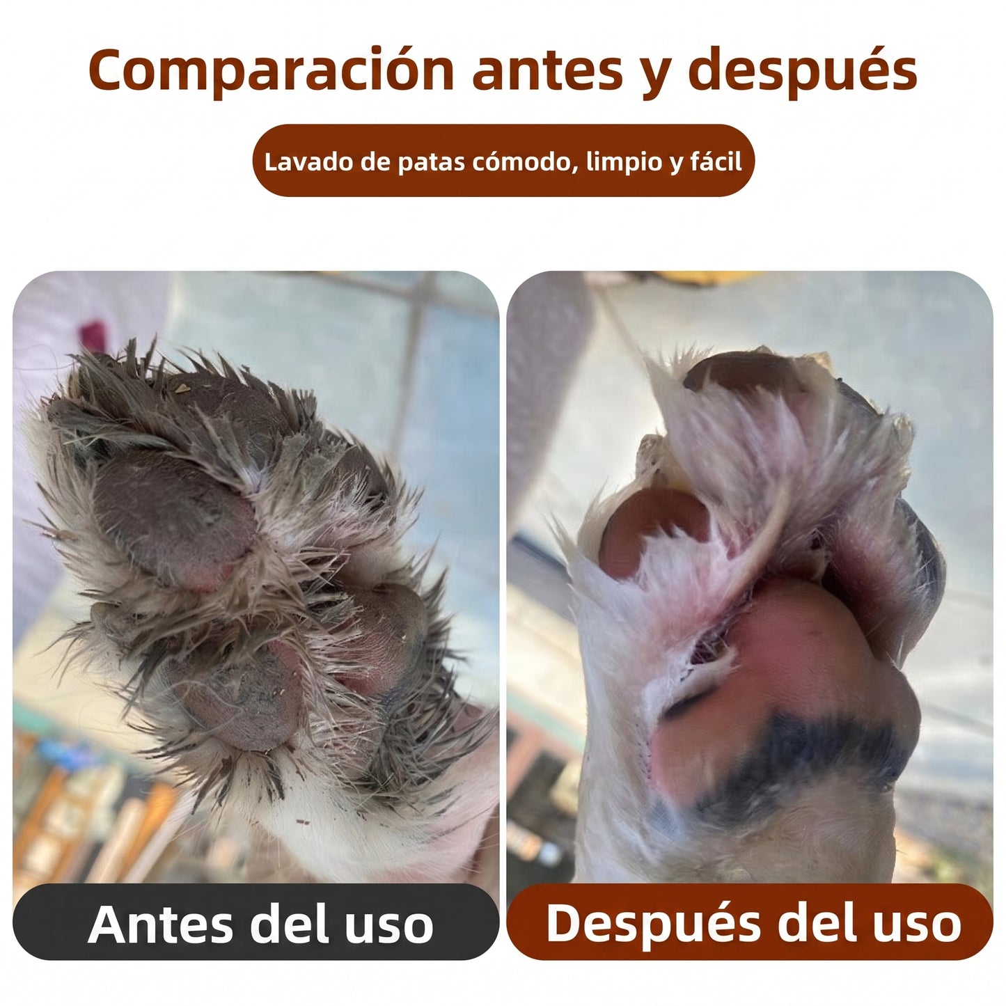 Limpiador de patas