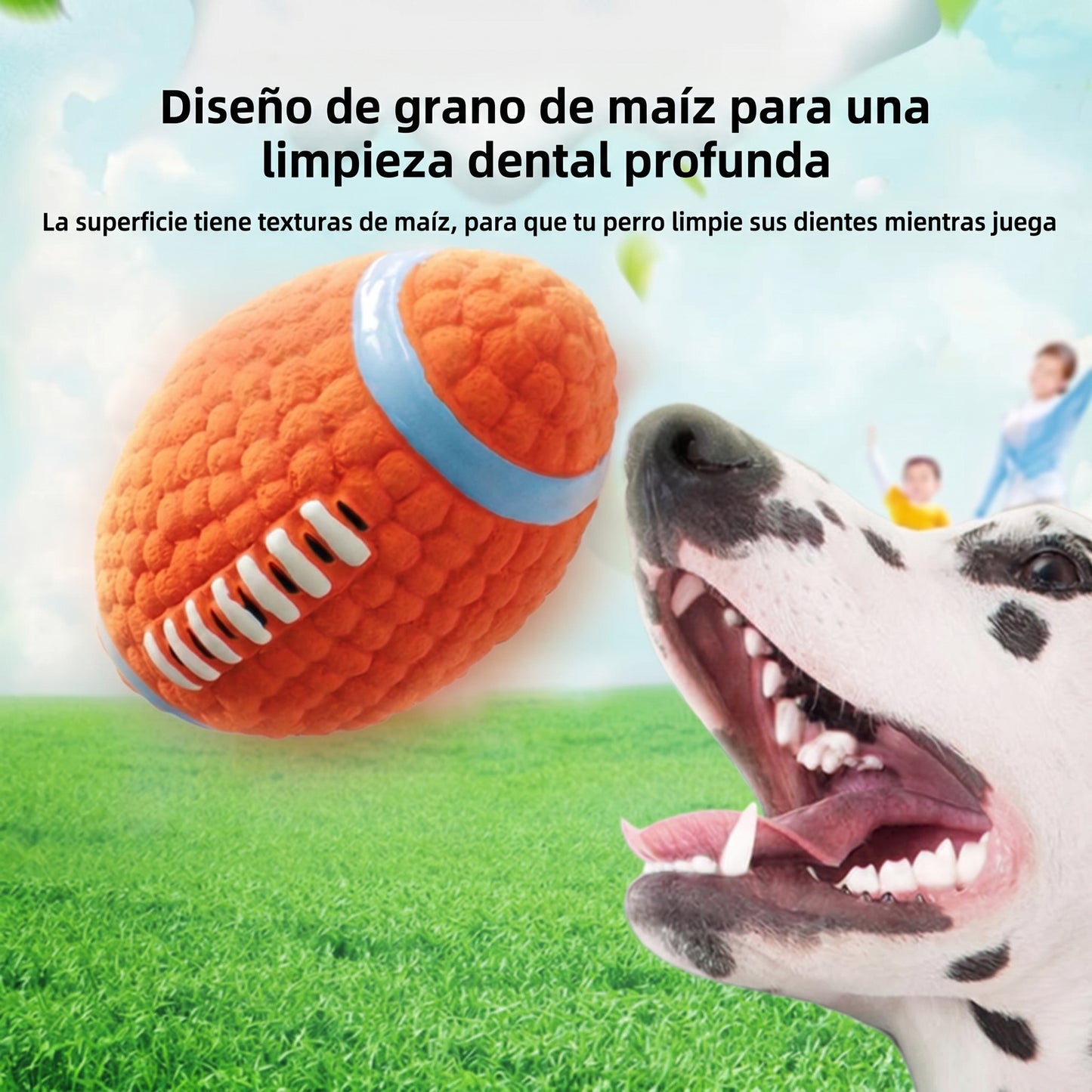 Pelota de juguete para mascotas.